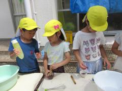 くじら組の草花を使った色水遊び