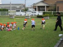 らっこ組のかけっこ