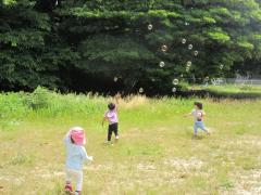 野原でのびのび走っています