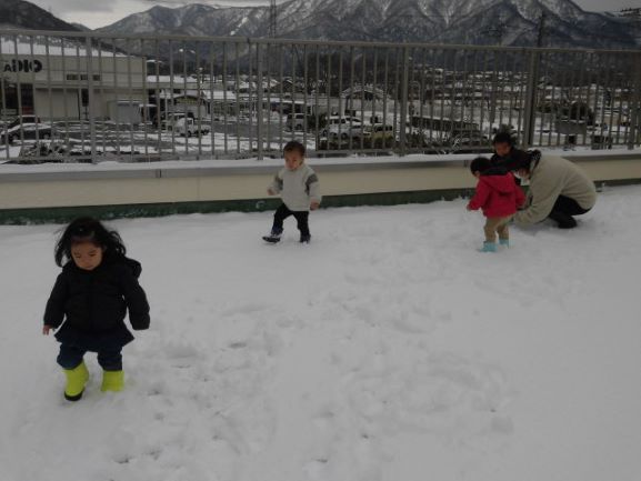 たくさん積もった雪の上を嬉しそうに歩いています。