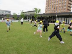 芝生で遊んでいる写真