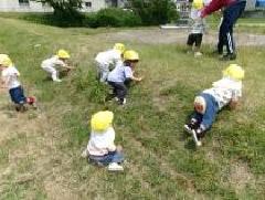 みかん組が坂遊びを楽しんでいます。