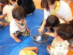 イモリを触っています。