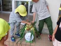 重さはどれくらいだろう