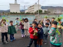 冬野菜収穫