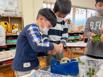やいかがし