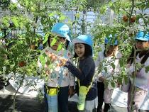 美浜の園芸ラボ