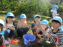 みかんを味わっている