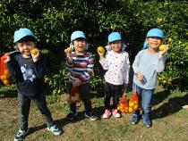 たくさん採れたみかんとともに記念撮影