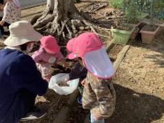 公園でどんぐり拾いをしています