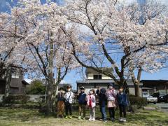 桜の下の集合写真