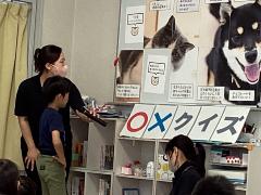 犬、猫クイズ