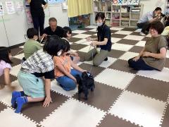 犬、猫とふれあい。