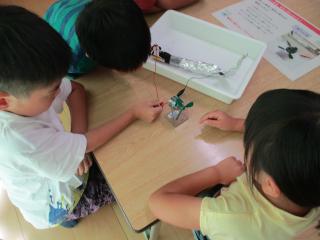 木炭電池実験