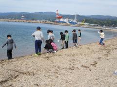 海