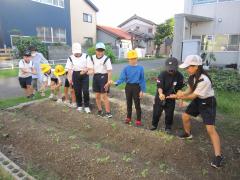 もみがらをまいています