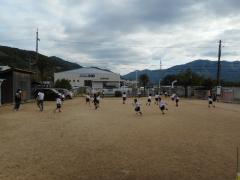 元気に走り回っています。