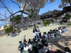 桜の下でおやつを食べました。おいしいね