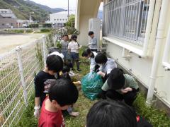 畑の草取り
