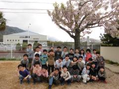 桜の下の2年生