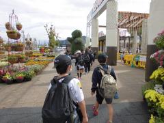 左右に飾ってある菊人形や沢山の花を見ながら歩いています。