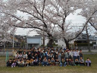 桜の下で