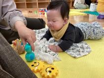 起き上がりこぼしを見ています。