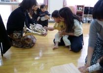 ホルンに触れています