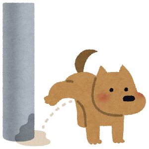 犬のおしっこ