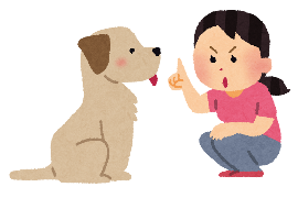 犬のしつけをする