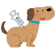 狂犬病予防注射