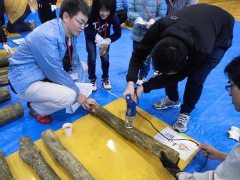 専用のドリルで菌を打ち込む穴を空けます