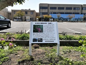 ふるさと敦賀の花「はぎ」の看板