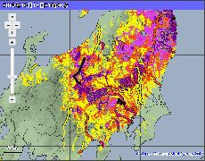 洪水キキクル