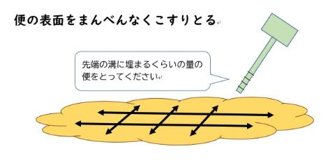 便の表面をまんべんなくこすりとる