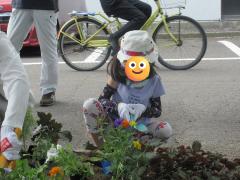 子どもが花苗を植えている写真