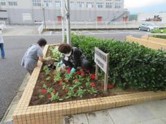 公民館　花植え
