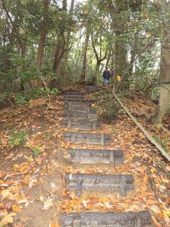 衣掛山登山道整備後