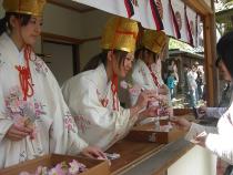 花換まつりの写真