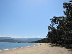 気比の松原の写真