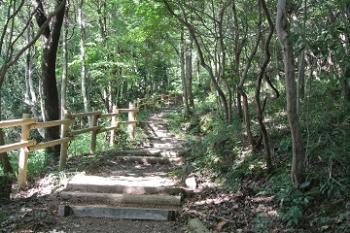 藤ヶ丘駐車場より撮影したこもれびの道
