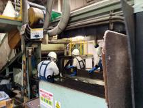 手選別ラインの画像