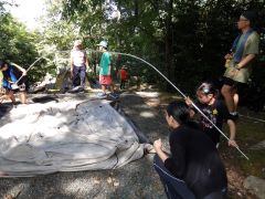 ポールを組み立てている