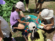 恒例のゴムボールすくいです