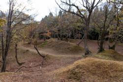 玄蕃尾城跡の土塁