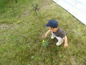 園庭で遊んでいる画像