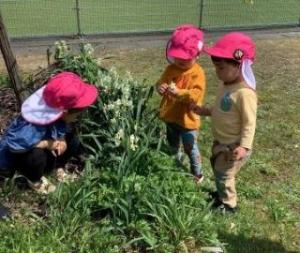 花を摘んでいる画像