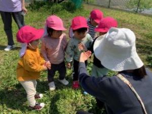 カエルを見ている画像