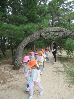 散策している画像