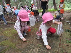 どんぐりを拾っている画像